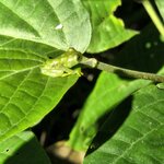 Photo taken by Ceinwen P