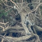 Photo taken by Sathees R