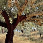 Photo taken by Ellen F