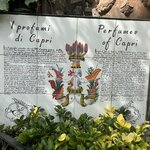 Photo taken by Lori K