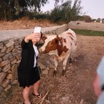 Photo taken by Patricia K