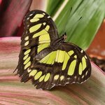 Photo taken by Mark S