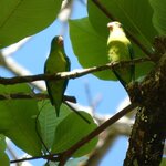 Photo taken by Brett F