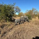 Photo taken by Chris K