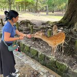 Photo taken by Sherri Z