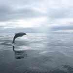 Photo taken by Martine B