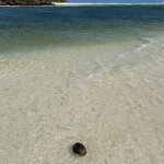 Photo taken by Imogen E