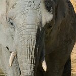 Photo taken by Laura R