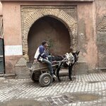 Photo taken by Timothy R