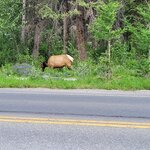 Photo taken by Virender V