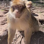 Photo taken by Don G