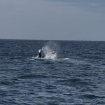 Photo taken by Rosemary S