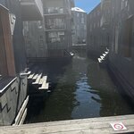 Photo taken by Dawn G