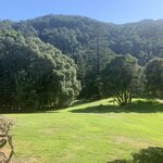 Photo taken by Dee C