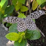 Photo taken by Valentina M