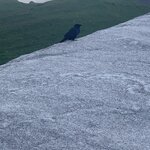 Photo taken by Kara R