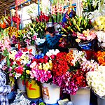 Photo taken by Jason P