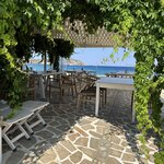 Photo taken by Sakura I