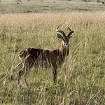 Photo taken by Michael L