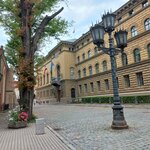 Photo taken by Arundhati G