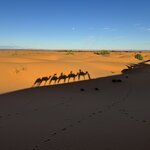 Photo taken by Christine S