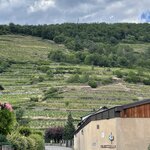 Photo taken by Jodi P