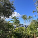 Photo taken by Paige M