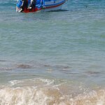 Photo taken by Laurence S