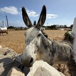 Photo taken by David B