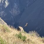 Photo taken by Alpa M