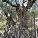 Photo taken by Joaquim S