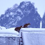 Photo taken by Iain M