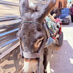 Photo taken by Patricia O