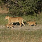 Photo taken by Joaquin M