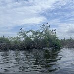 Photo taken by Anne-Marie L