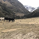 Photo taken by Brenna M