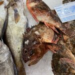 Photo taken by Steven C