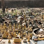 Photo taken by Shaula L