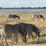 Photo taken by rhonda c