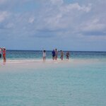 Photo taken by Sean M