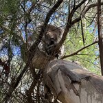 Photo taken by Kolla S