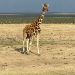 Photo taken by Julien C