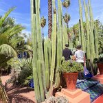 Photo taken by Patricia O