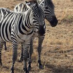 Photo taken by Gabrielle A