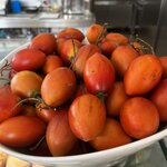 Photo taken by Dee C