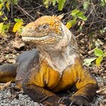 Photo taken by Maggie K