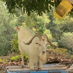 Photo taken by Luke T