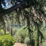 Photo taken by Lisa B