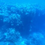 Photo taken by Kolla S