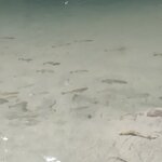 Photo taken by Brett F